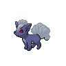 Shadow Vulpix